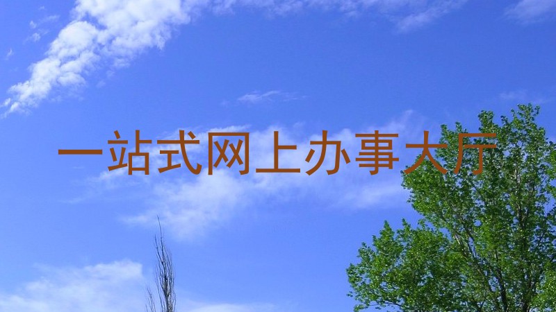 一站式网上办事大厅