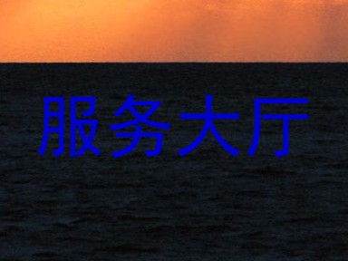 服务大厅