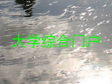 大学综合门户