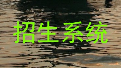 招生系统