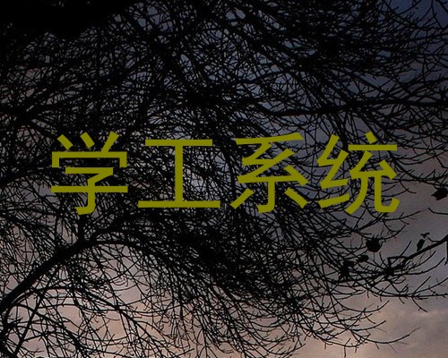 学工系统