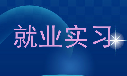 就业实习