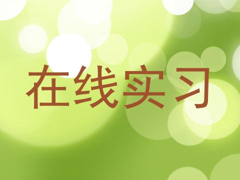 在线实习