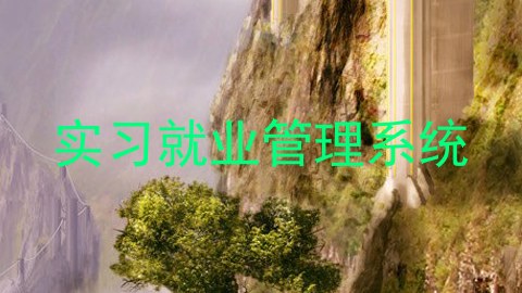 实习就业管理系统