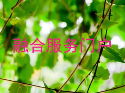 融合服务门户