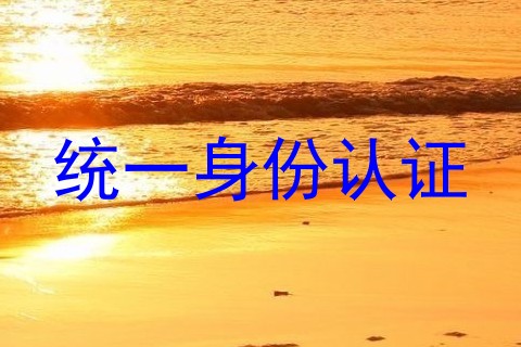 统一身份认证