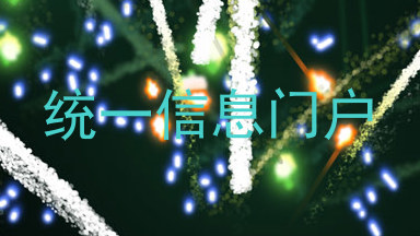 统一信息门户