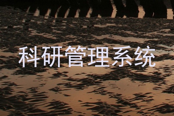 科研管理系统