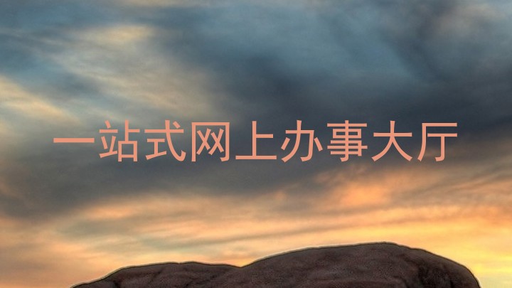 一站式网上办事大厅