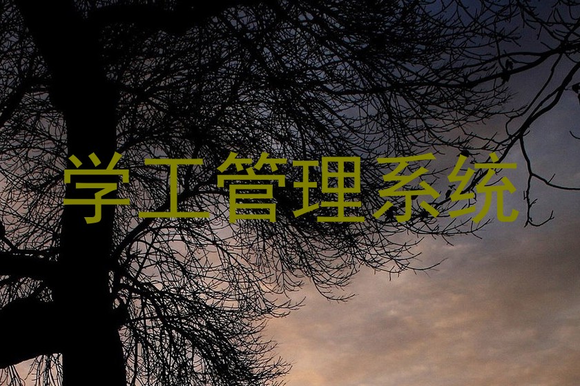 学工管理系统