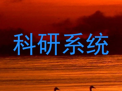 科研系统