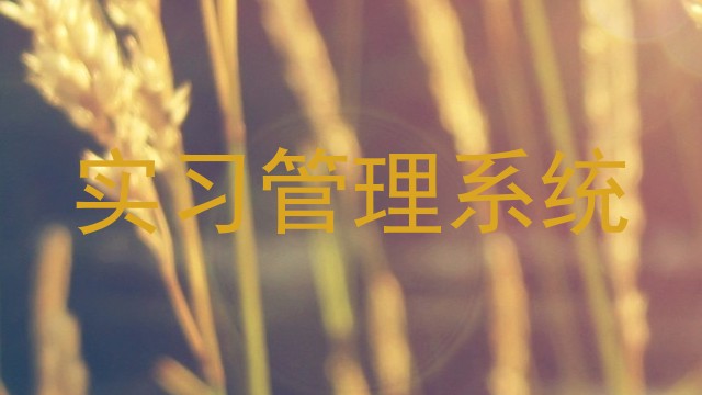 实习管理系统