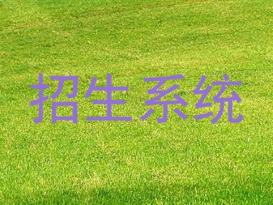 招生系统
