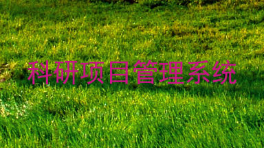 科研项目管理系统