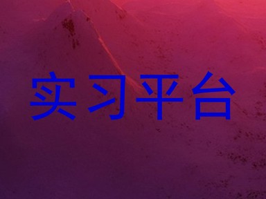 实习平台