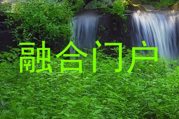 融合门户