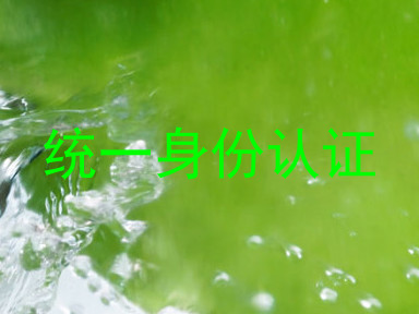 统一身份认证