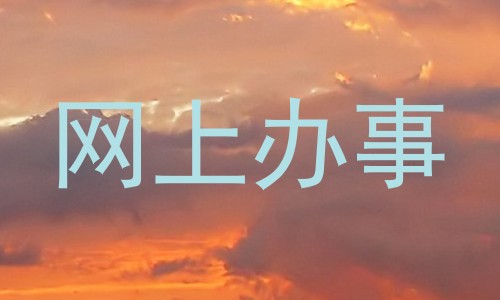 网上办事
