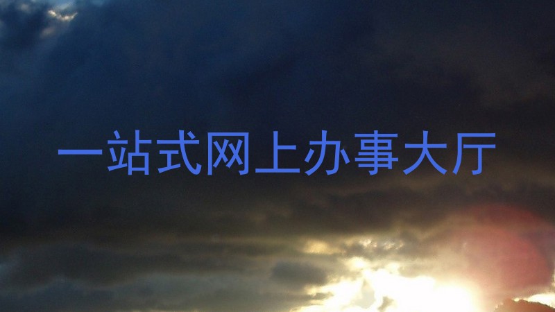 一站式网上办事大厅