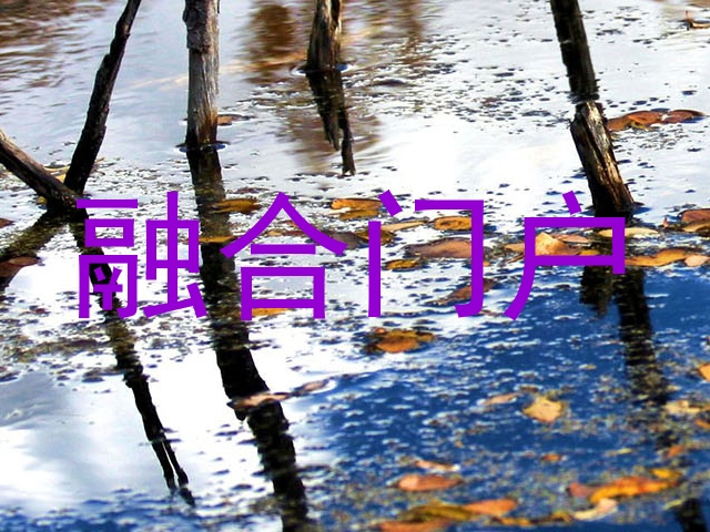融合门户
