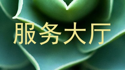 服务大厅