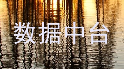 数据中台
