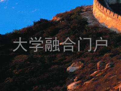 大学融合门户