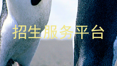 招生服务平台