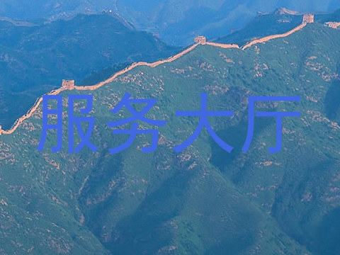 服务大厅