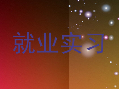 就业实习