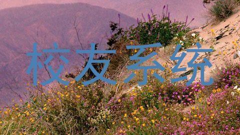 校友系统