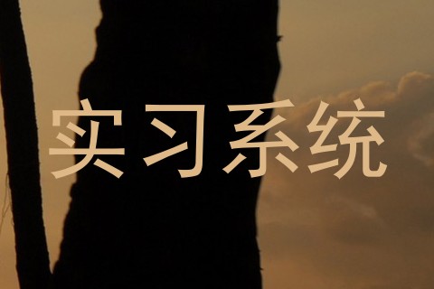 实习系统