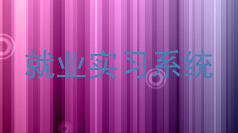 就业实习系统