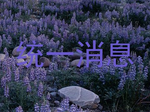 统一消息