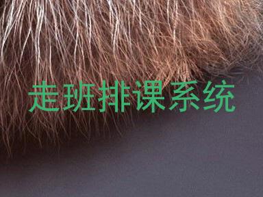 走班排课系统