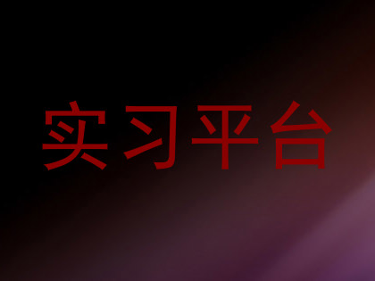 实习平台