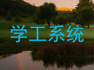 学工系统