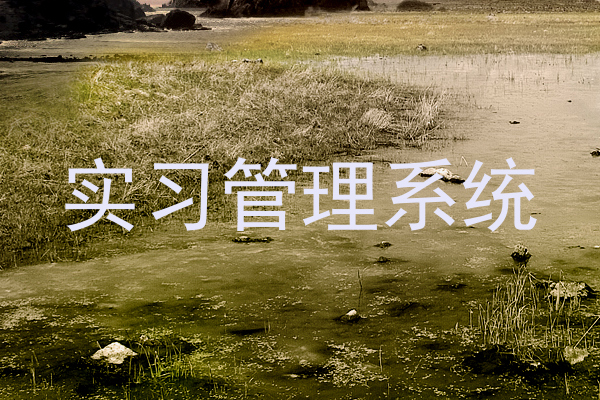 实习管理系统