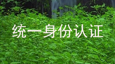 统一身份认证