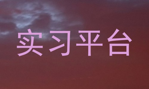 实习平台