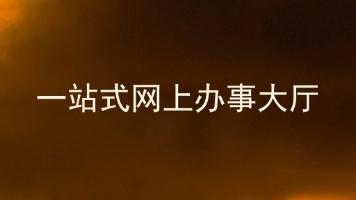 一站式网上办事大厅
