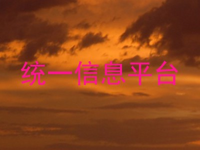 统一信息平台