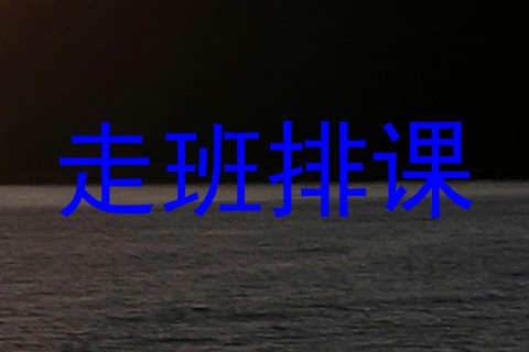 走班排课