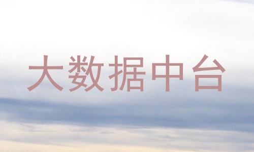 大数据中台