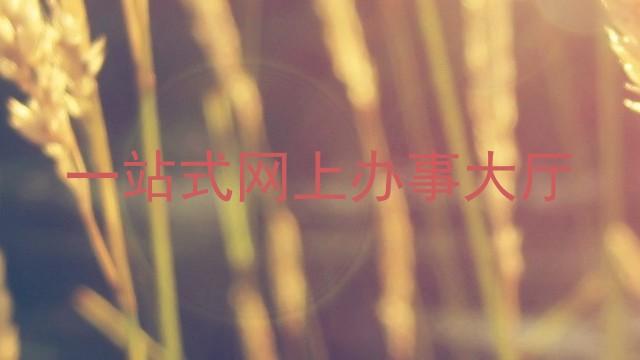 一站式网上办事大厅