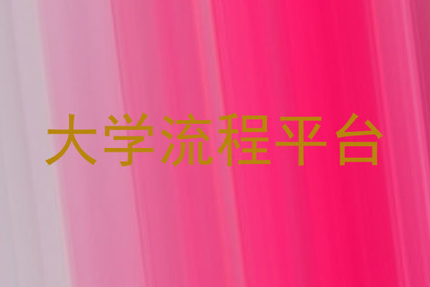 大学流程平台