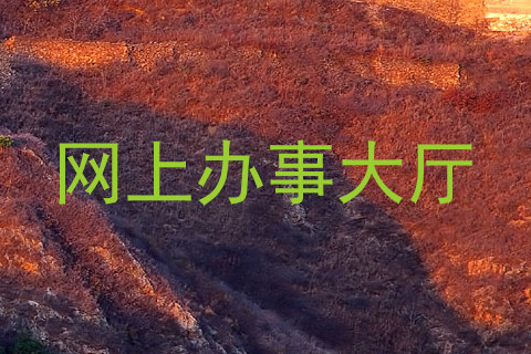 网上办事大厅