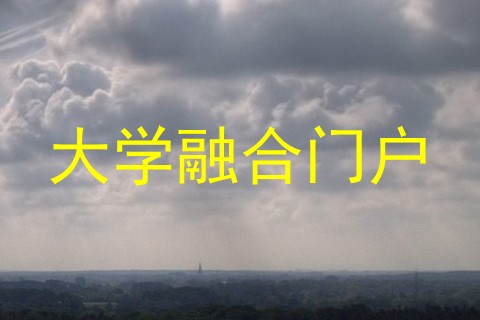 大学融合门户