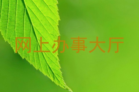 网上办事大厅