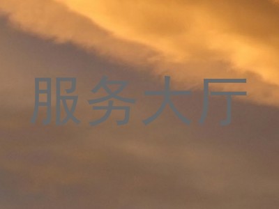 服务大厅
